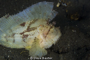 taken Bali sea by Dave Baxter 